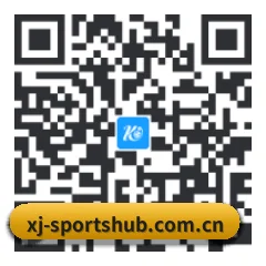 iPhone 专版 二维码
